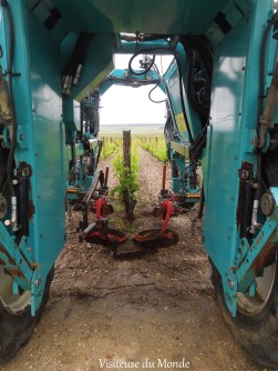 Château d'Yquem, LVMH