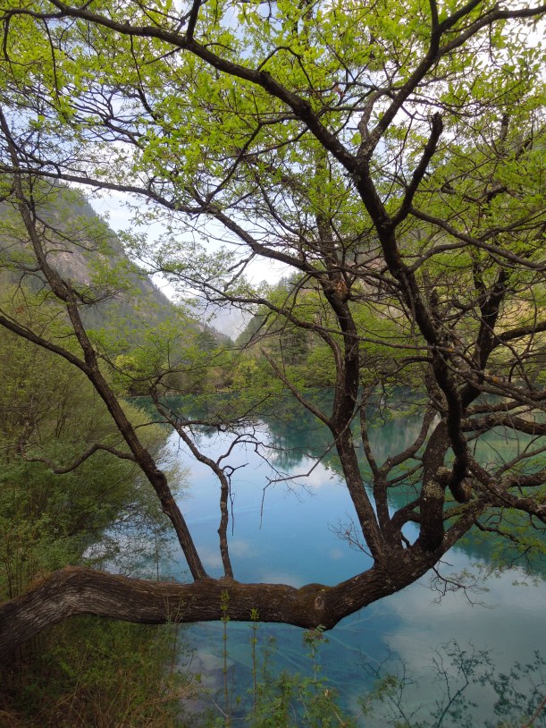 Jiuzhaigou, Sparkling Lake