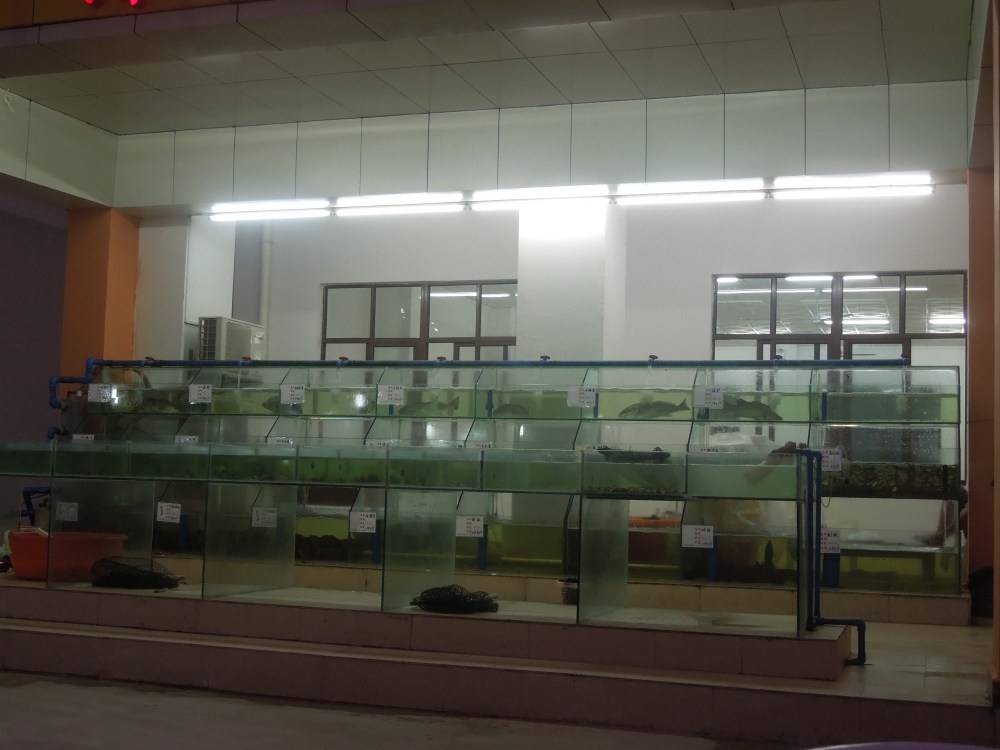 Restaurant poisson Wanning, Hainan, Chine