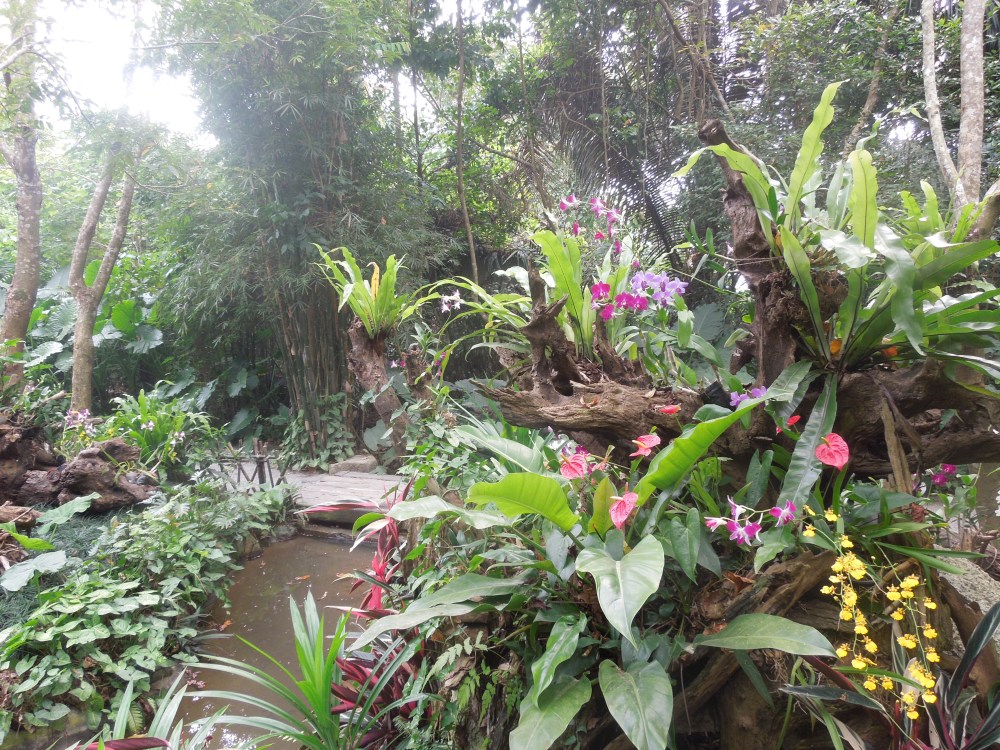 Yanoda Rainforest, Sanya, Chine
