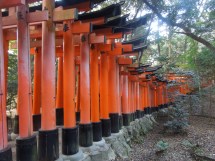 Fusihimi-Inari Taisha, Kyoto, Japon