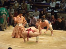 Tournoi de sumo, Japon