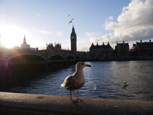 Big Ben, Londres, Angleterre