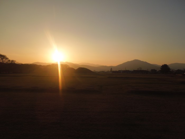 Corée,Gyeongju, bois de Gyerim