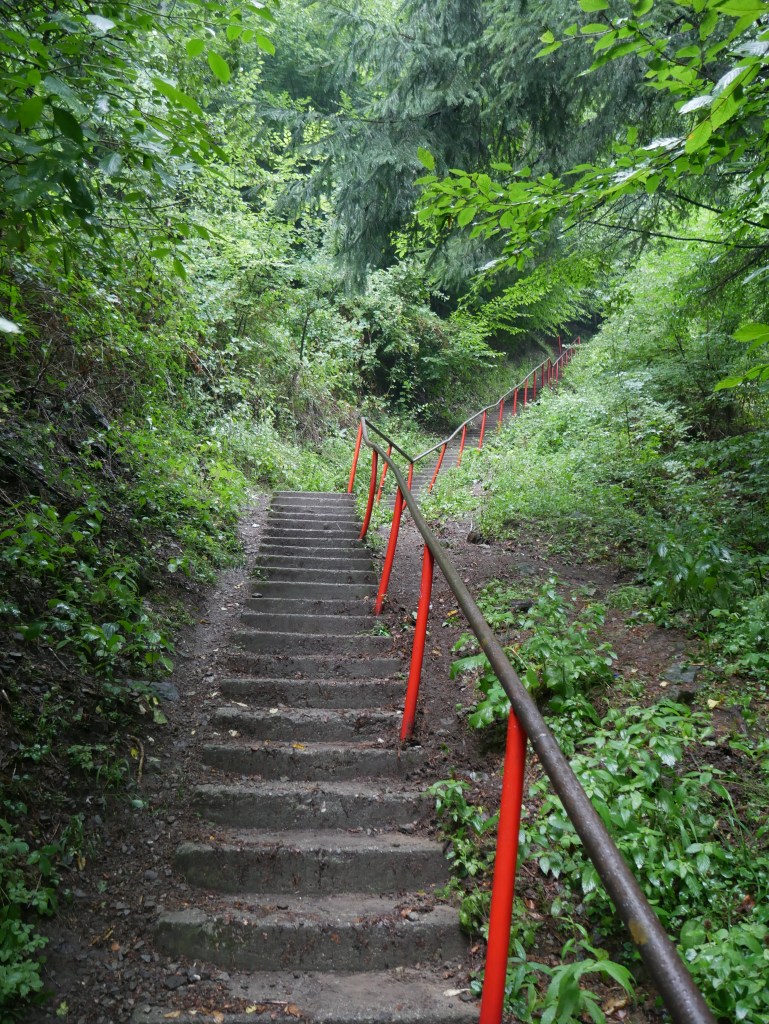 Roumanie, Citadelle de Poenari
