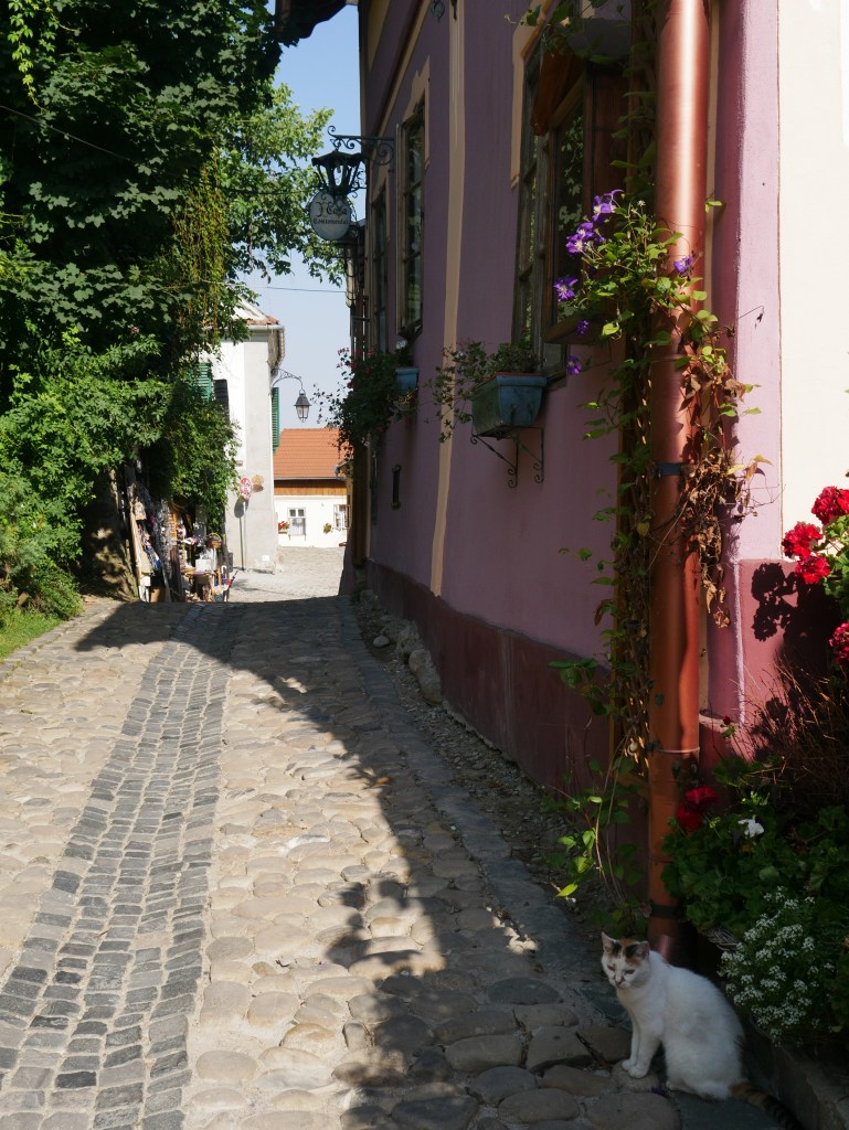 Roumanie, ruelles de Sighișoara