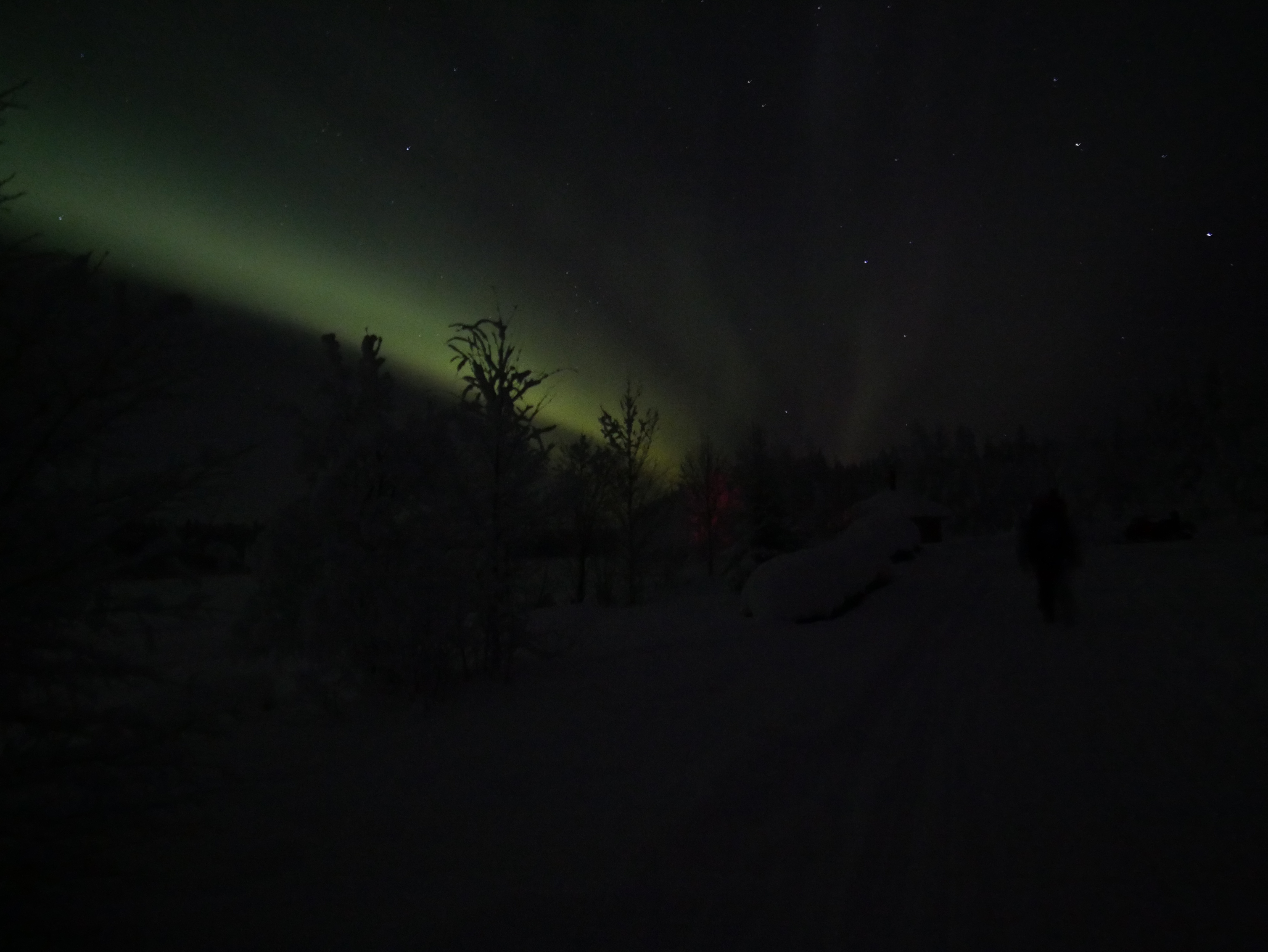 Laponie - Aurore boréale