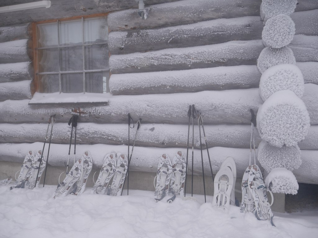 Laponie - Randonnée en raquettes