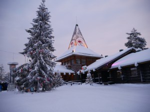 Laponie - Village du Père Noël - Sapin