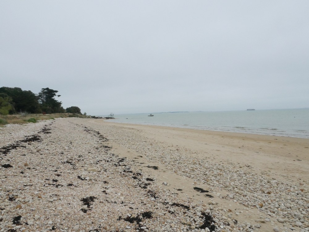 Ile d'Aix - Plage aux coquillages
