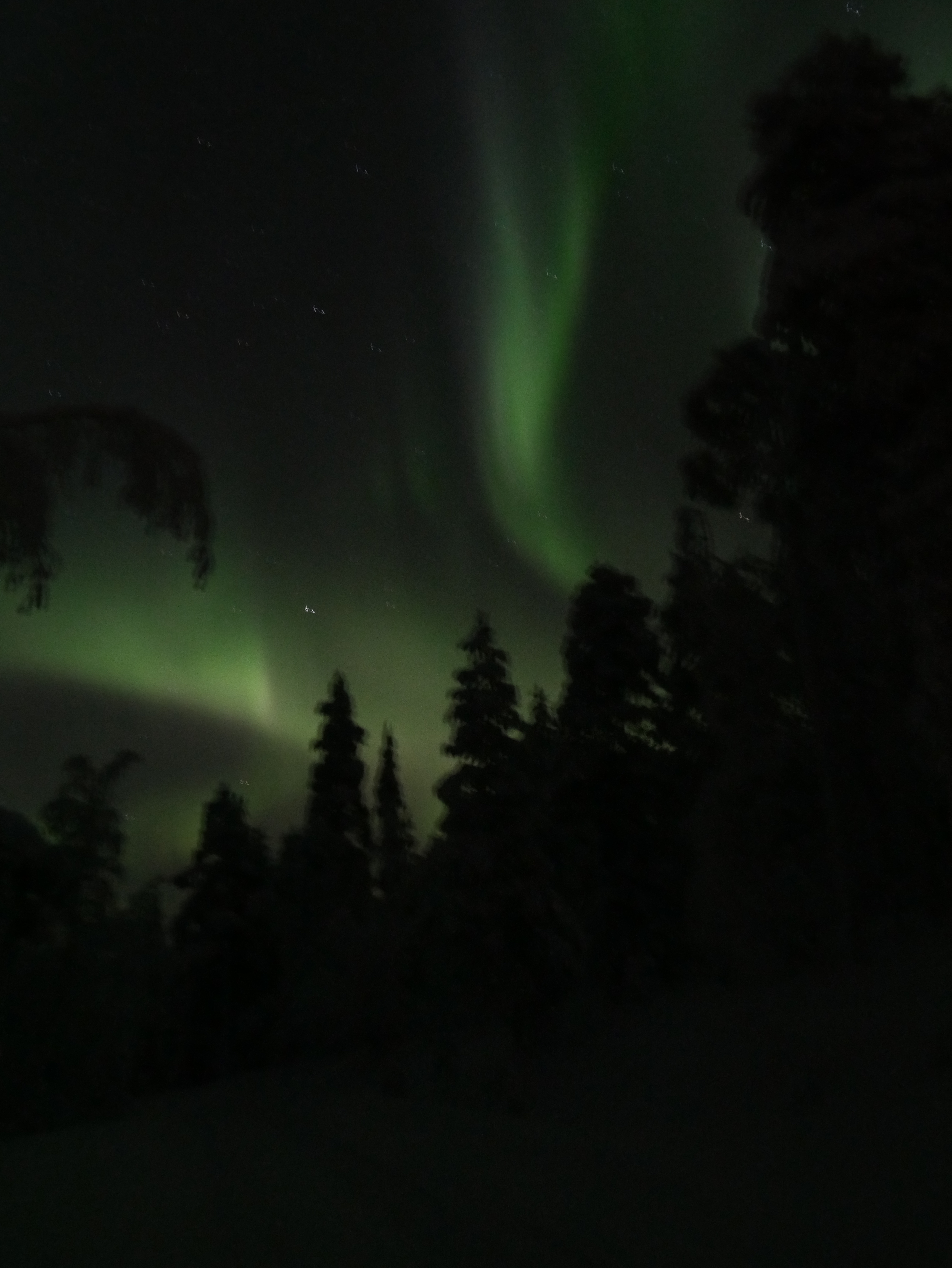 Laponie - Aurore boréale