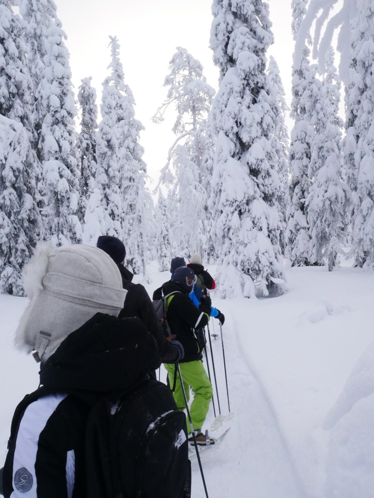 S'habiller en Laponie - En raquette