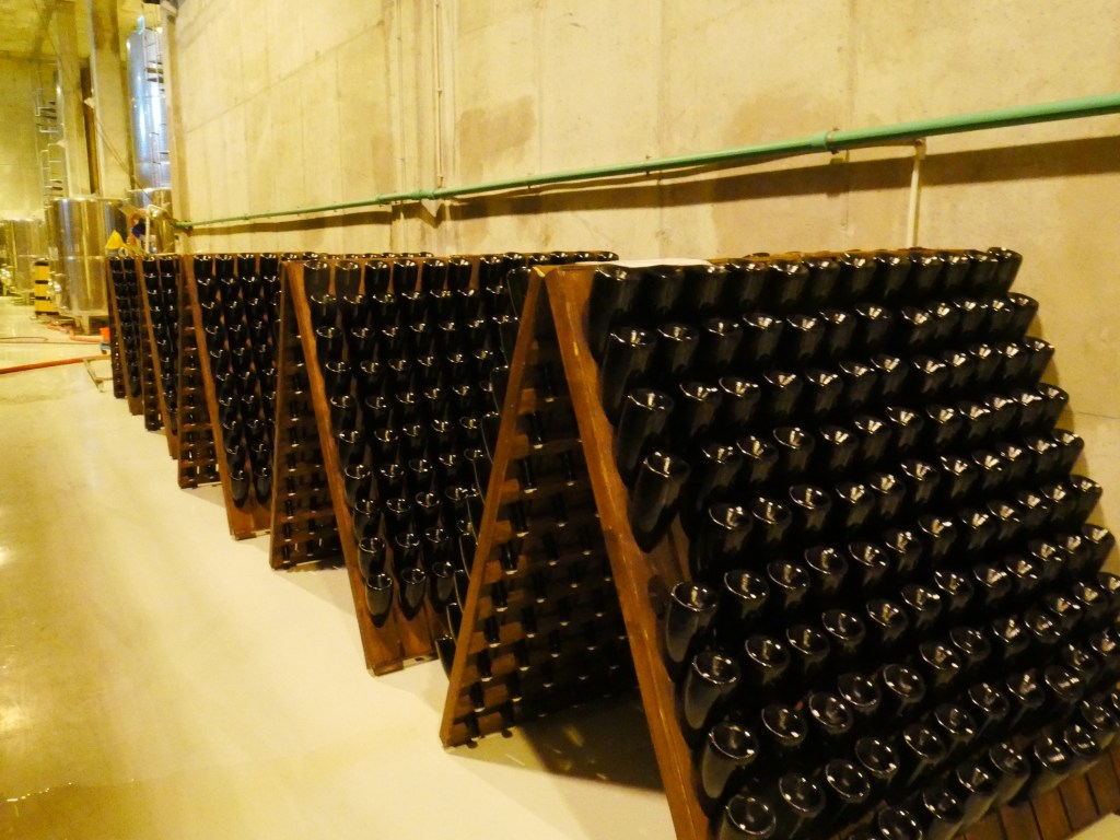 Roumanie - Budureasca effervescent